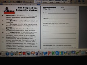 Forms for diaper experiment