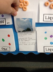 Matter Flip Book-Fruit Loops!