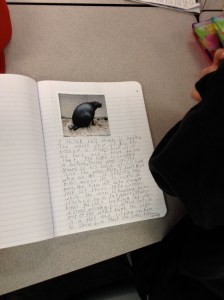 Hippon on man-funny writing prompts!